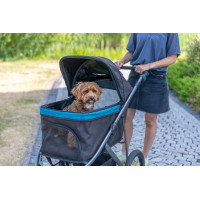 HONDEN BUGGY MET GROTE LUCHTGEVULDE BANDEN