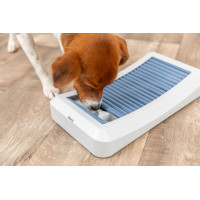 DOG ACTIVITY ROD BOARD STRATEGIESPEL