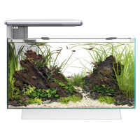 SUPERFISH QUADRO 40 PRO ZWART