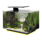 SUPERFISH QUADRO 40 MULTI COLOUR WIT