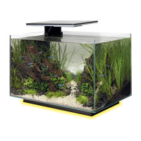 SUPERFISH QUADRO 40 MULTI COLOUR ZWART