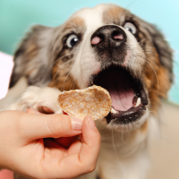SMOOFL DOG POPS CRUNCHY MUSHROOM & ROSEMARY