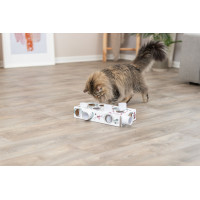 Cat activity Pawn's Treats Box