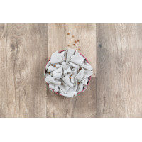 Cat activity Hide'n Sniff Bowl