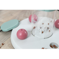 Cat activity Kansspel Toren strategiespel