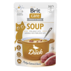 BRIT CARE SOUP 75 GR KIP MET EEND