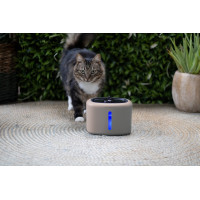AQUABELLA DRINKFONTEIN PINK VOOR POES OF HOND 
