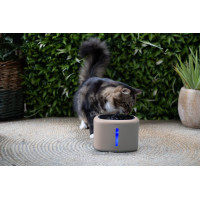 AQUABELLA DRINKFONTEIN PINK VOOR POES OF HOND 