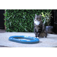 POEZENPARCOURS 50 CM MET 2 BALLEN