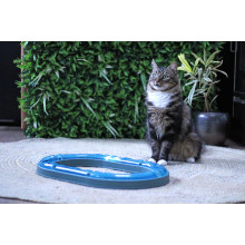 POEZENPARCOURS 50 CM MET 2 BALLEN