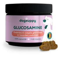 DOG SUPPY GLUCOSAMINE SNOEPJES REGULAR  60 ST.