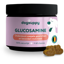 DOG SUPPY GLUCOSAMINE SNOEPJES REGULAR  60 ST.