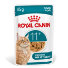 ROYAL CANIN AGEING  11+ GRAVY POUCH DOOS 12 X 85 GRAM