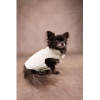 HONDENJAS FERGI WIT 20 CM