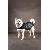 HONDENJAS SERGIO ZWART 40 CM