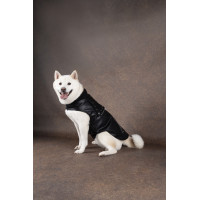 HONDENJAS SERGIO ZWART 40 CM