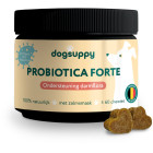 DOG SUPPY PROBIOTICA FORTE SNOEPJES REGULAR MET ZALM 60 ST.