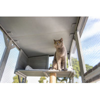 KATTENREN OUTDOOR 181 X 169 X 88 CM.